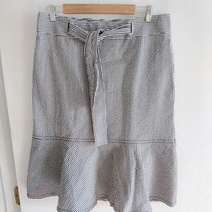 Ann Taylor Women's Skirt